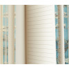 Luxe gedecoreerde zijkant van A5 notitieboekje Amandelbloesem van Van Gogh bij shop.holland.com