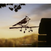 Tuindecoratie voor vogelliefhebbers - metalbird kuifmees