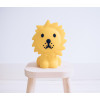 My first light Lion Led lamp