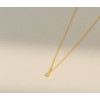 De Jordaan ketting in 14 kt goud bij shop.holland.com