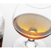 Mit Snippers Cognac können Sie innerhalb von 8 Wochen Ihren eigenen Cognac-Geschmack herstellen